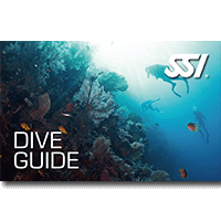 Dive Guide.png