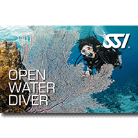 Open Water Diver.png