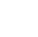 turtle-activity