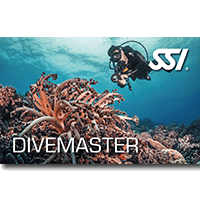 Divemaster.png