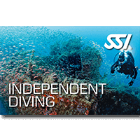 Idependent Diving.png