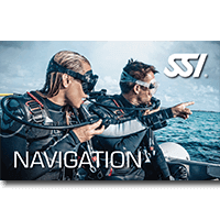 Navigation.png
