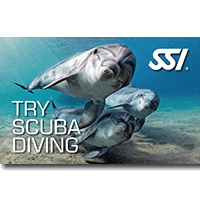 Try Scuba Diving.png