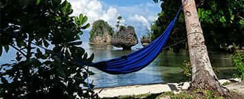 Hammocking---356x144.jpg